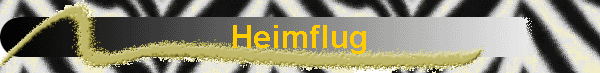 Heimflug