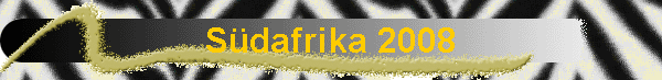 Sdafrika 2008